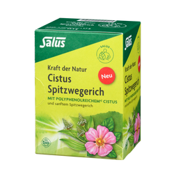 Salus Kraft der Natur Cistus Spitzwegerich