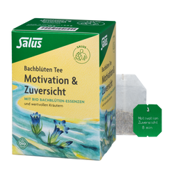 Salus Bachblüten Tee Motivation & Zuversicht