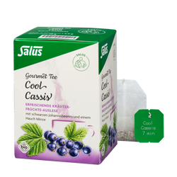 Salus Gourmet Tee Cool Cassis