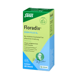 Salus Floradix Eisen plus B12