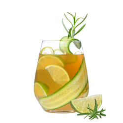 Salus Aperino Wacholder Limette