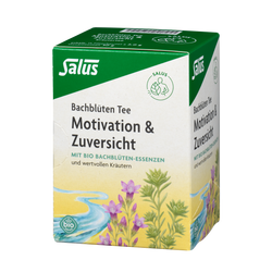 Salus Bachblüten Tee Motivation & Zuversicht
