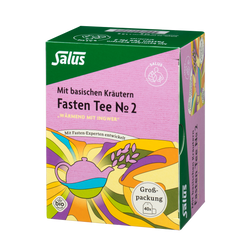 Salus Fasten Tee № 2