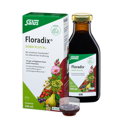 Salus Floradix Eisen plus B12