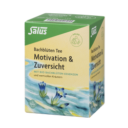 Salus Bachblüten Tee Motivation & Zuversicht