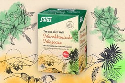 Marokkanische Minzoase
