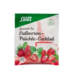 Salus Gourmet Tee Erdbeeren Früchte-Cocktail