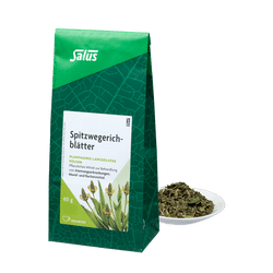 Salus Spitzwegerichblätter