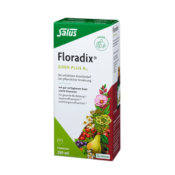 Salus Floradix Eisen plus B12