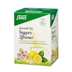 Salus Gourmet Tee Ingwer Zitrone