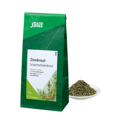 Salus Zinnkraut