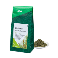 Salus Zinnkraut