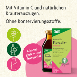 Salus Kräuterblut Floradix mit Eisen