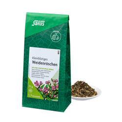 Salus Kleinblütiges Weidenröschen