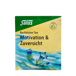 Salus Bachblüten Tee Motivation & Zuversicht
