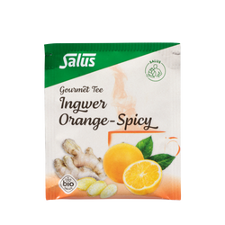 Salus Gourmet Tee Ingwer Orange-Spicy