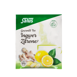 Salus Gourmet Tee Ingwer Zitrone