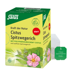 Salus Kraft der Natur Cistus Spitzwegerich