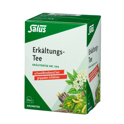 Salus Erkältungs-Tee