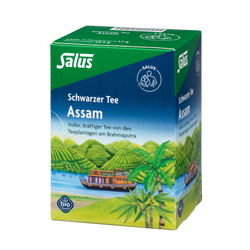 Salus Assam