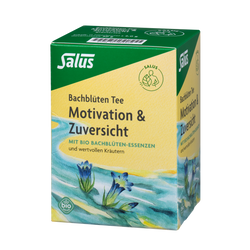 Salus Bachblüten Tee Motivation & Zuversicht