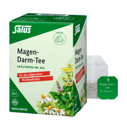 Salus Magen-Darm-Tee