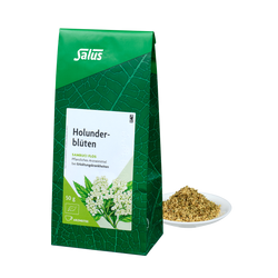 Salus Holunderblüten