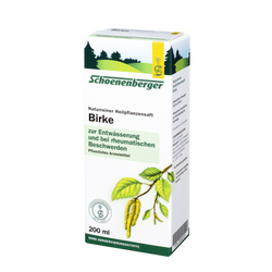 Schoenenberger Birke