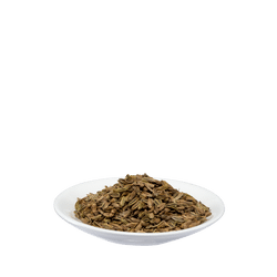 Salus Fenchel
