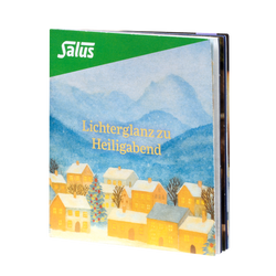 Salus Tee Adventskalender