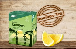 Salus Grüner Rooibos Pfirsich-Zitrone