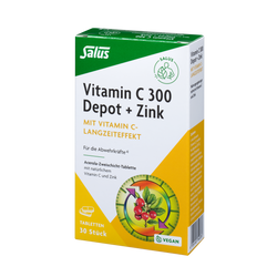 Salus Vitamin C 300 Depot + Zink