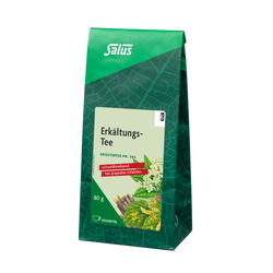 Salus Erkältungs-Tee
