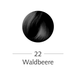 SANOTINT® Haarfarbe Nr. 22 „Waldbeere“