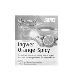 Salus® Gourmet Ingwer Orange-Spicy