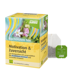 Salus® Bachblüten Tee Motivation & Zuversicht