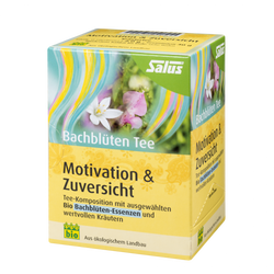Salus® Bachblüten Tee Motivation & Zuversicht
