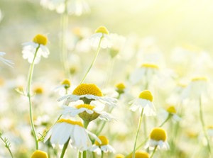 Bio aus Überzeugung