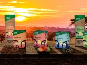 Tauchen Sie ein in die faszinierende Welt Afrikas