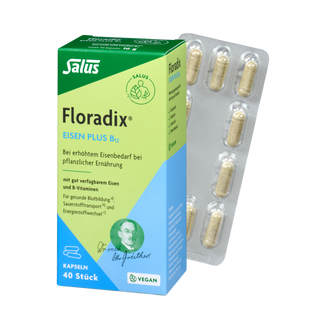 Salus Floradix Eisen plus B12