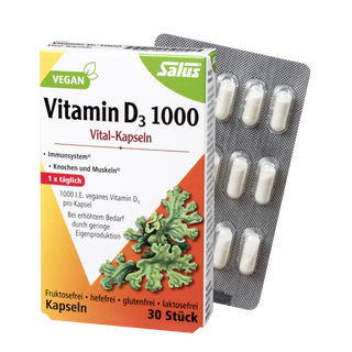 Salus Vitamin D3 1000 Vital-Kapseln