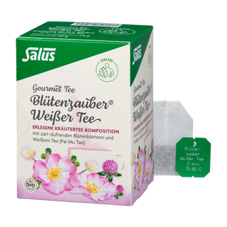 Salus Gourmet Tee Blütenzauber Weißer Tee
