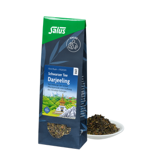 Salus Darjeeling