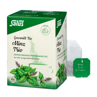 Salus Gourmet Tee Minz Trio