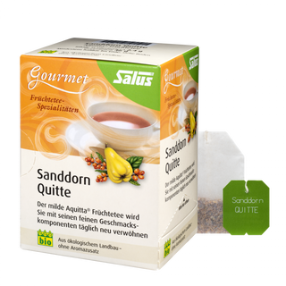 Salus Gourmet Tee Sanddorn Quitte