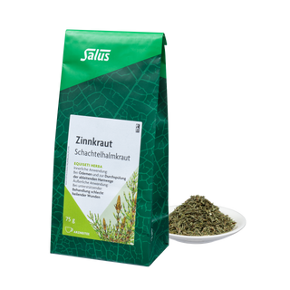 Salus Zinnkraut
