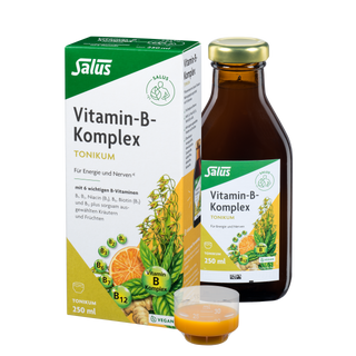 Salus Vitamin-B-Komplex