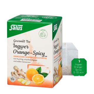 Salus Gourmet Tee Ingwer Orange-Spicy