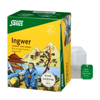 Salus Ingwer