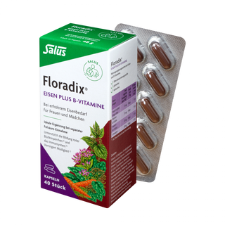 Salus Floradix Eisen plus B-Vitamine